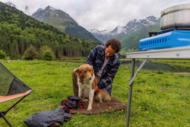 Séjour nature avec votre compagnon à quatre pattes