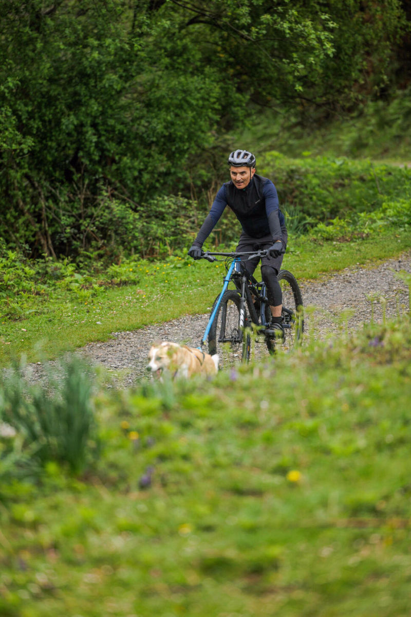 séjour cani sport
