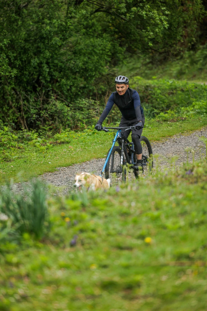 séjour cani sport