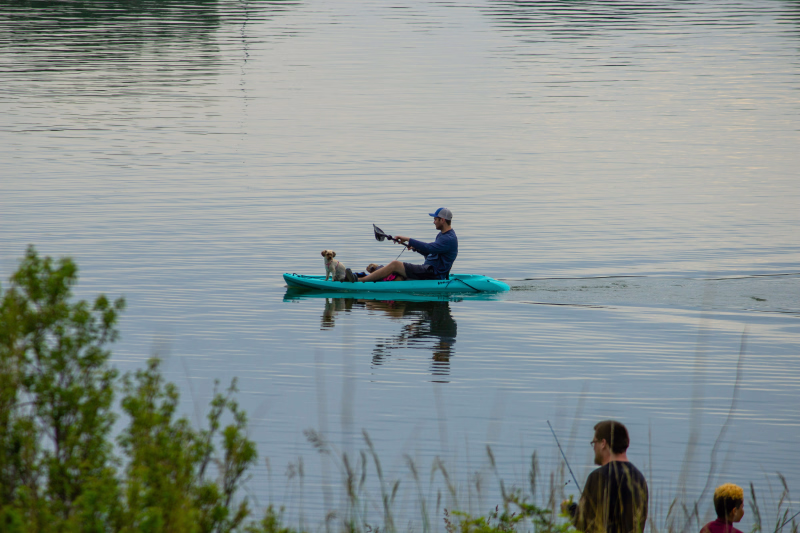 Canoe-kayak avec son chien