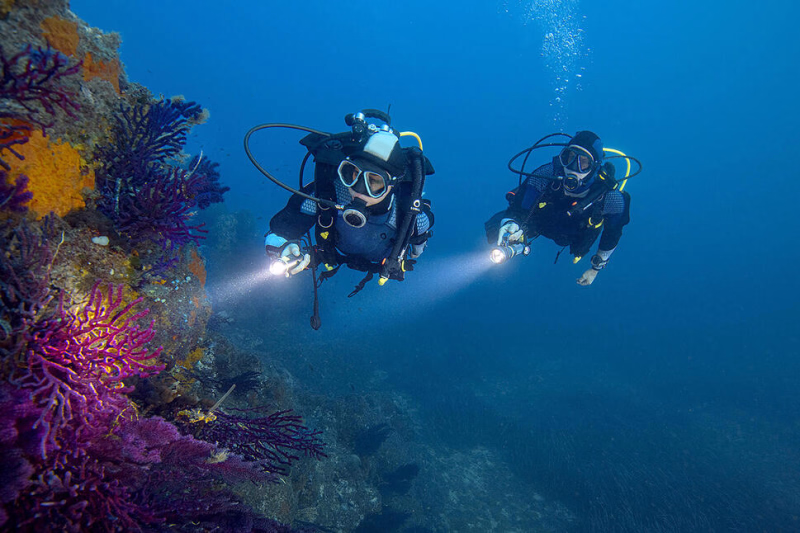Plongée en Mer rouge