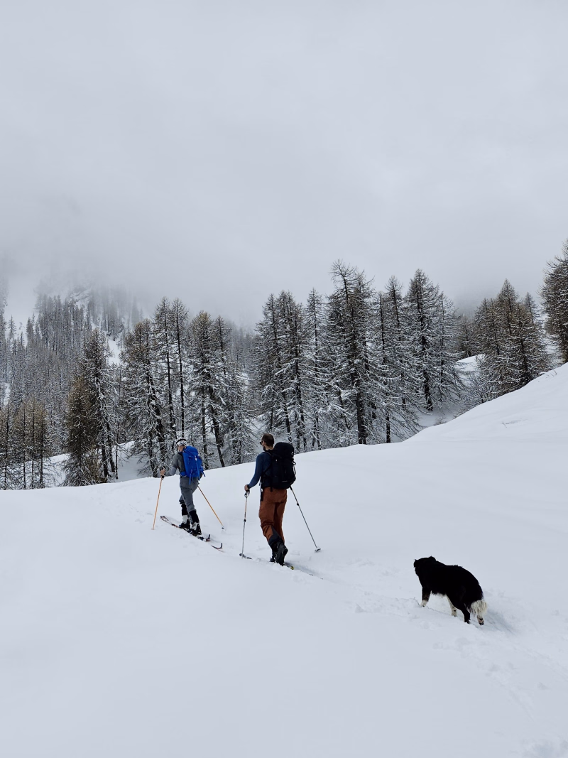 Photo ski de randonnée dans les Alpes