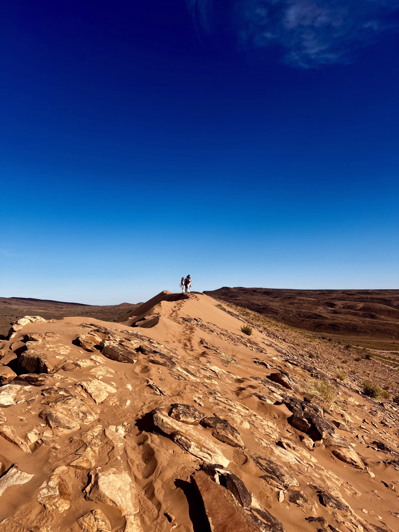 Trek entre oasis, dunes et jbel de Tazzarine
