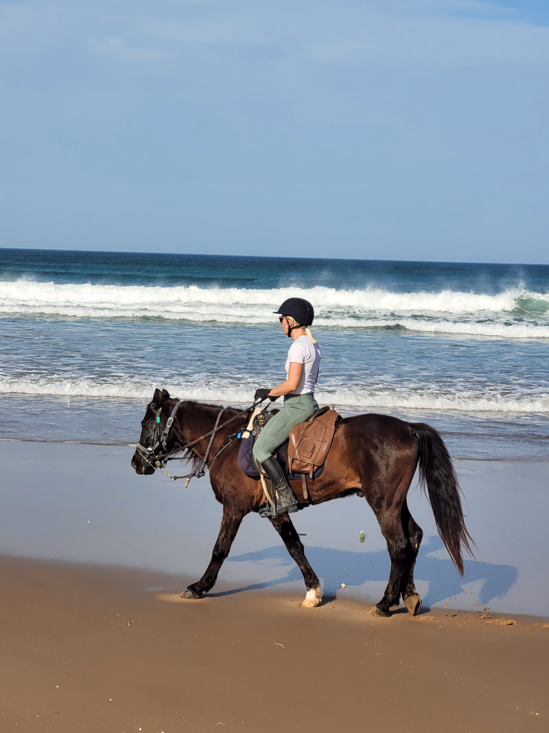 Randonnée à cheval