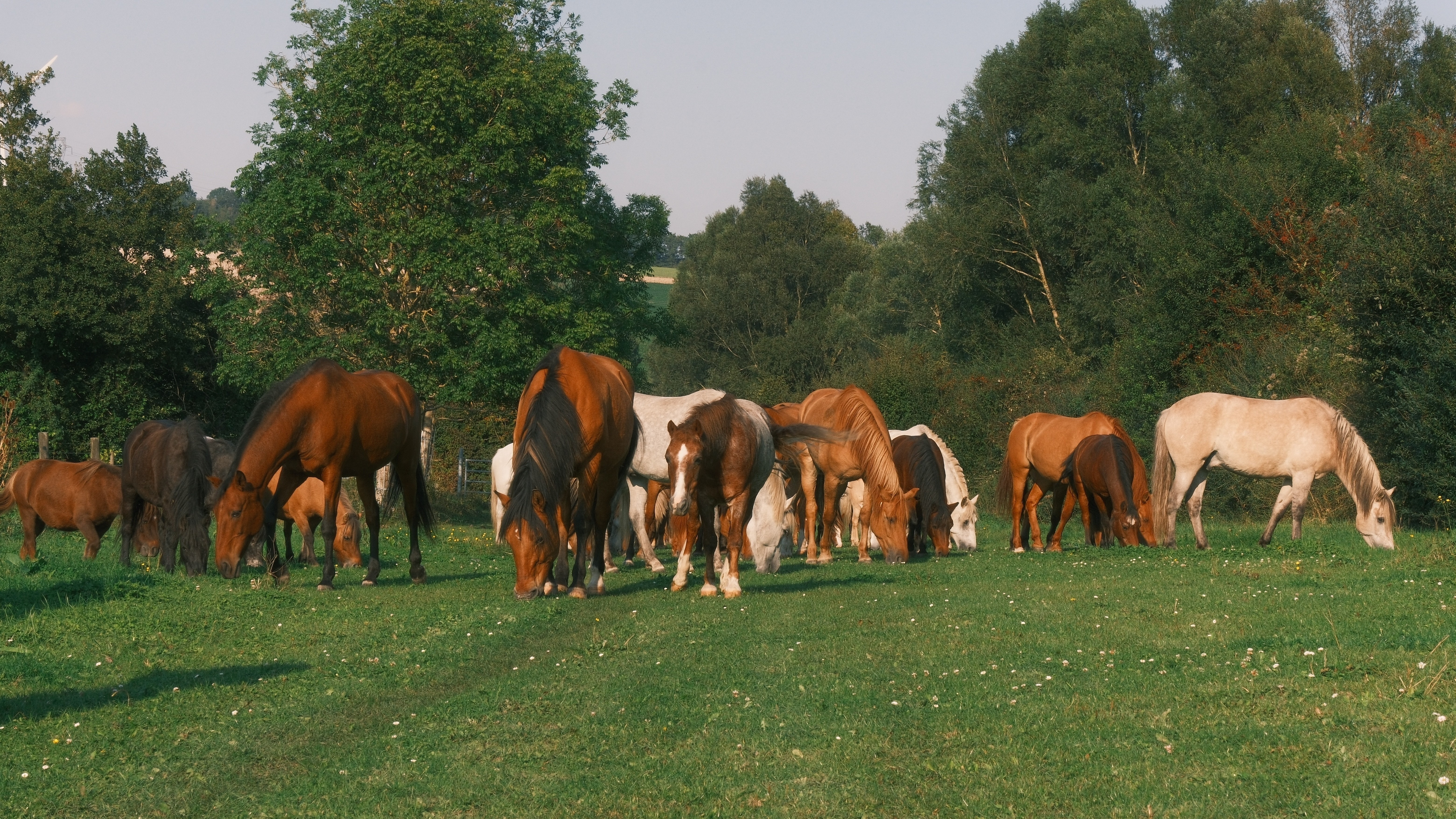 L'agence de Jérôme
