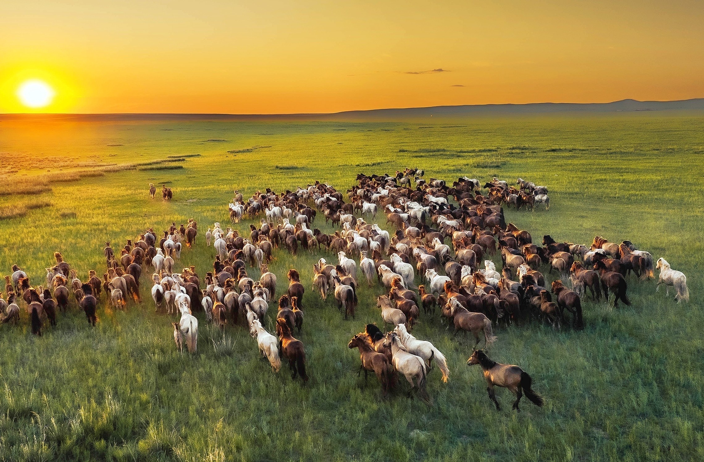 L'équipe de Chimegmaa