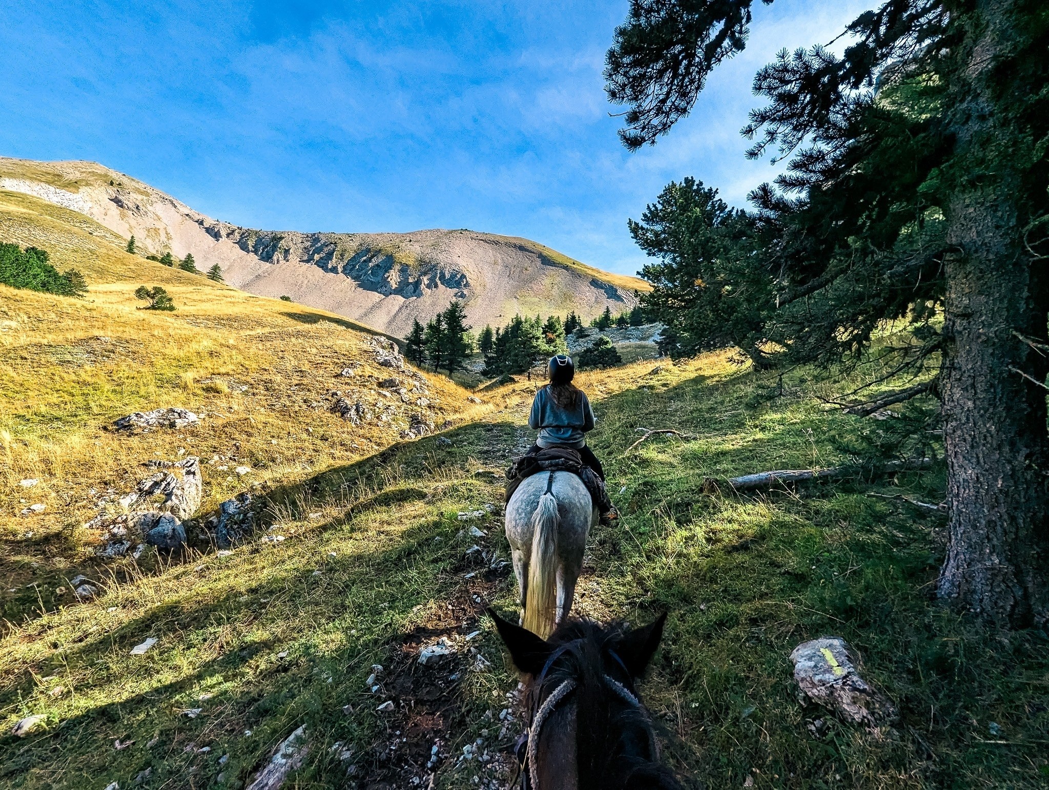 L'agence de Amandine