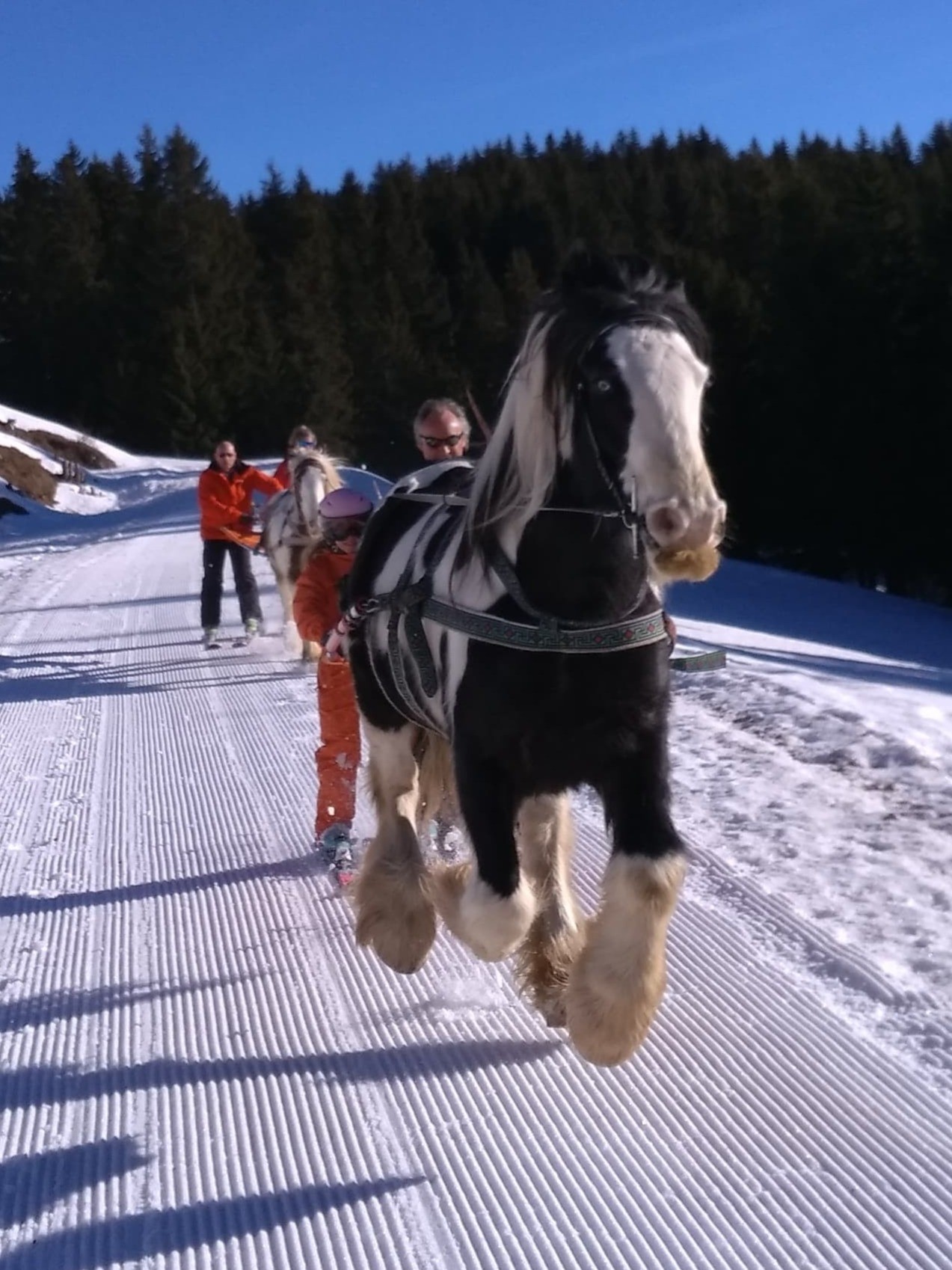 L'agence de Philippe