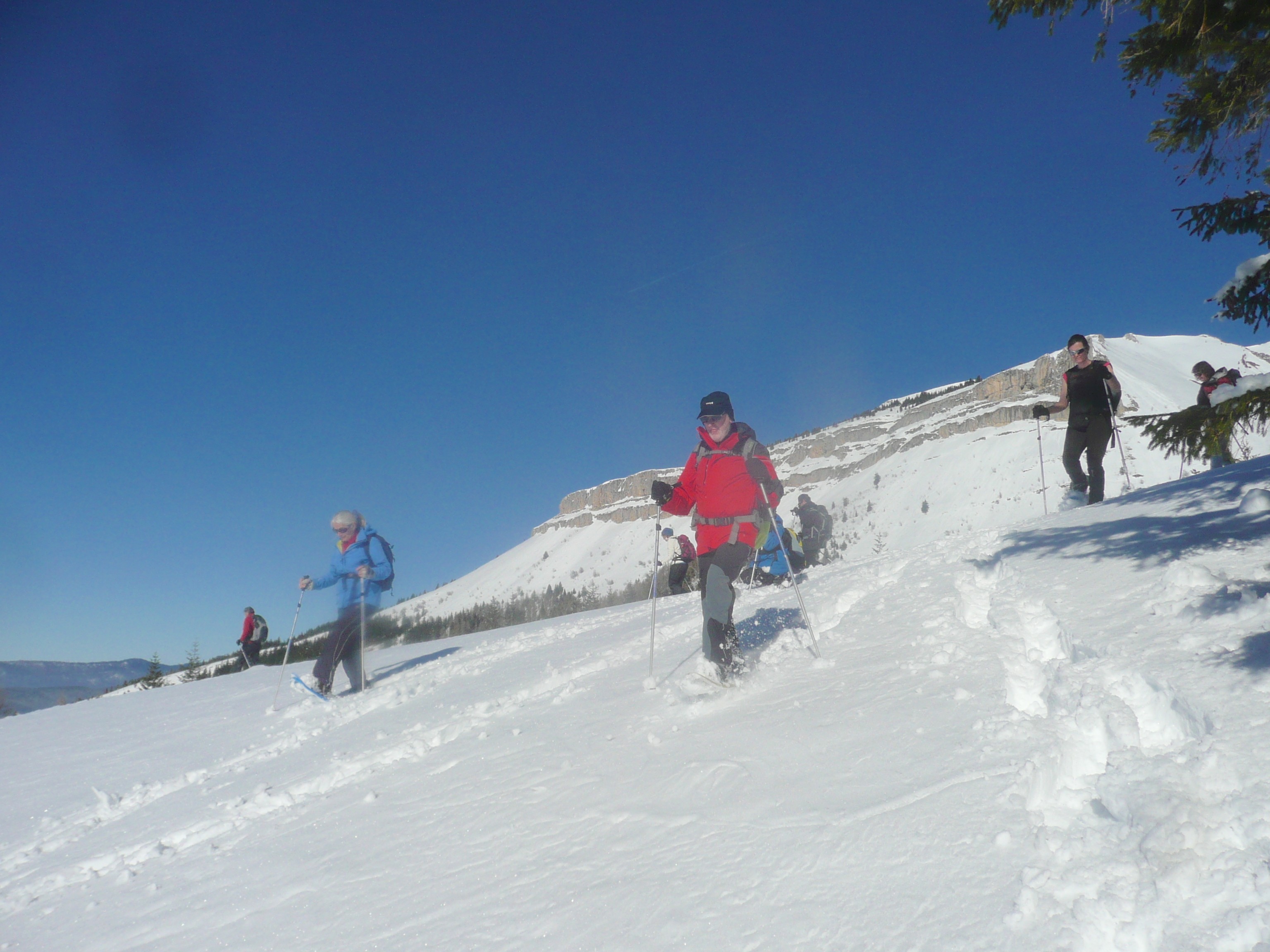 Sous vetement ski collant chaud homme Caleçon long hiver vert - Achat vente  pas cher Buscraft et randonnée
