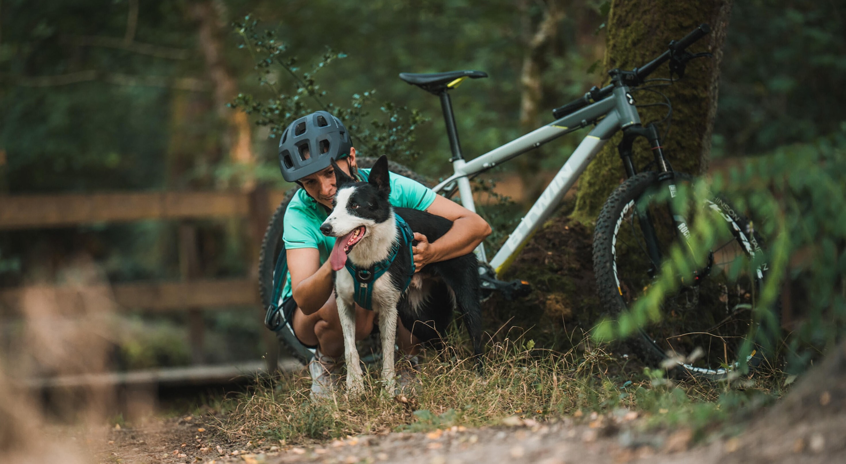 Séjour Canisport 🐕, Canicross et Aventures Decathlon Travel