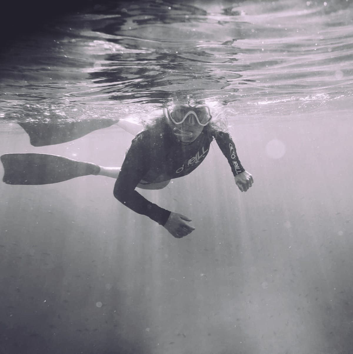 L'équipe de Anthony & Séverine